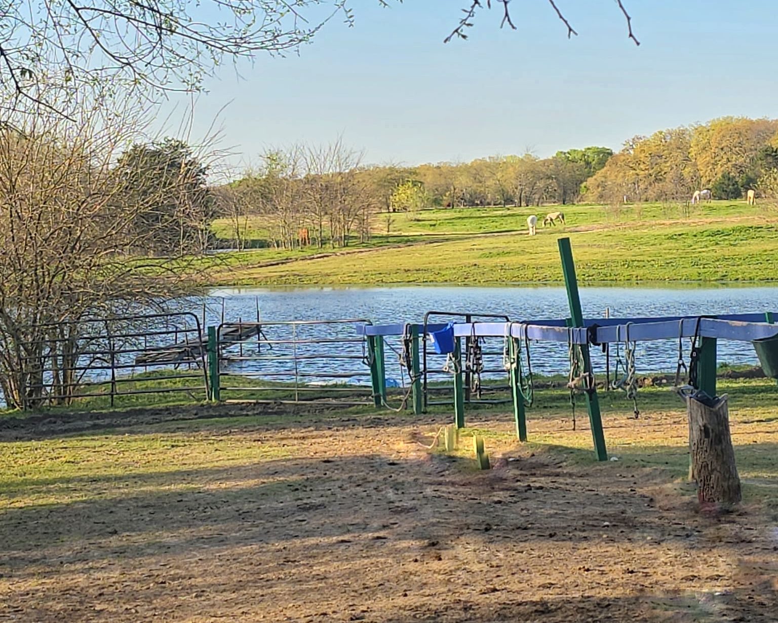 Morning feed to evening trail — the ranch, yours