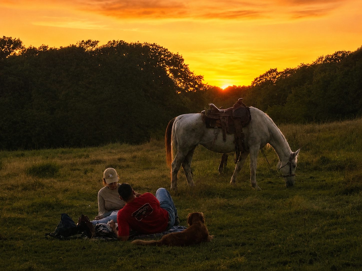 Wide fields, wildflowers, a picnic that waits on you